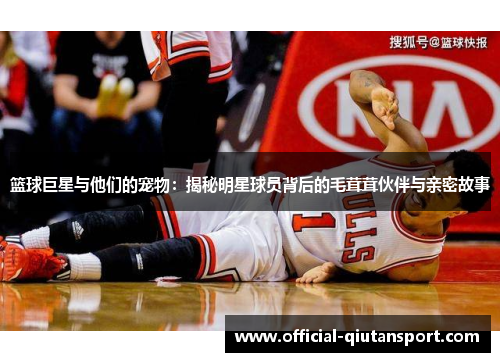 篮球巨星与他们的宠物：揭秘明星球员背后的毛茸茸伙伴与亲密故事