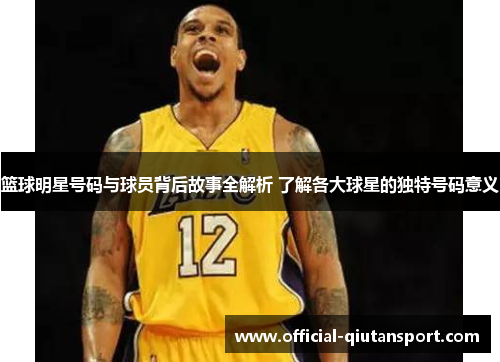 篮球明星号码与球员背后故事全解析 了解各大球星的独特号码意义