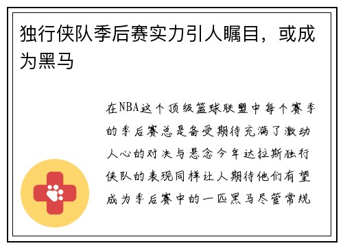 独行侠队季后赛实力引人瞩目，或成为黑马